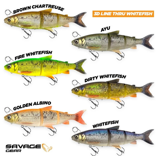 Savage gear line thru - 3d,