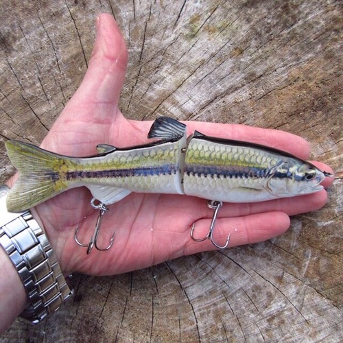 Realscale pike fishing lure - pike,