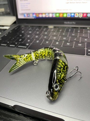 Pike lure motion realistic - motion,