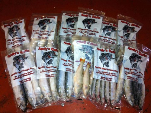 Frozen pike fishing bait - pike,
