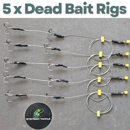 Pike zander dead bait - pike, rigs