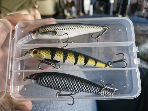 Pike fishing lures - x, double
