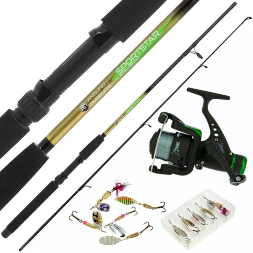 Spinning fishing rod - rod, reel