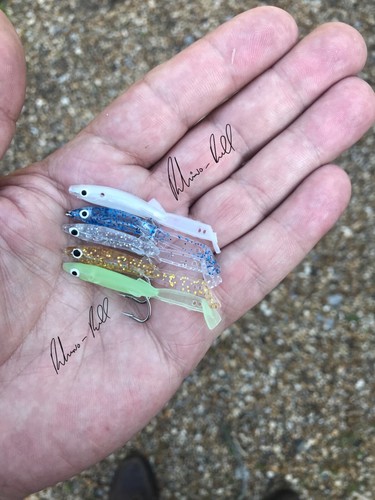 Micro nano fishing - 5,