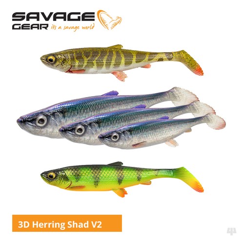 Savage gear herring shad v2 - gear, 3d